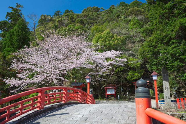 桜と神倉神社
(c)NOBUAKI SUMIDA/SEBUN PHOTO