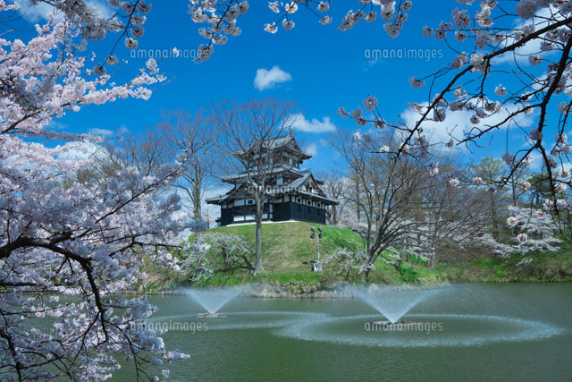 高田城と桜
(c)NOBUAKI SUMIDA/SEBUN PHOTO