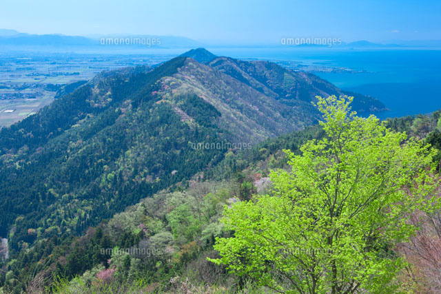 新緑と山本山と琵琶湖
(c)NOBUAKI SUMIDA/SEBUN PHOTO