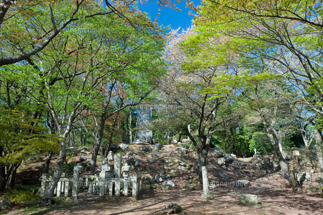 新緑の小谷城跡
(c)NOBUAKI SUMIDA/SEBUN PHOTO