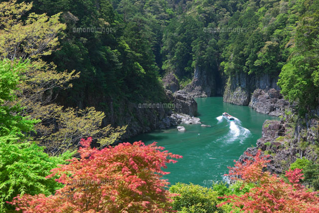 新緑の瀞峡と遊覧船
(c)NOBUAKI SUMIDA/SEBUN PHOTO