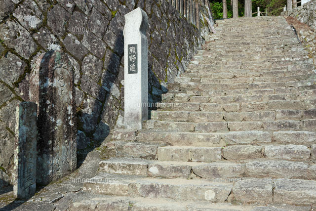 熊野那智大社の熊野古道
(c)NOBUAKI SUMIDA/SEBUN PHOTO