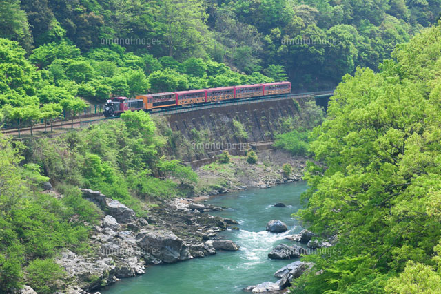 新緑の保津峡トロッコ列車
(c)NOBUAKI SUMIDA/SEBUN PHOTO