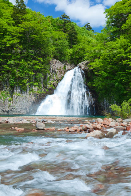 新緑の法体の滝
(c)NOBUAKI SUMIDA/SEBUN PHOTO