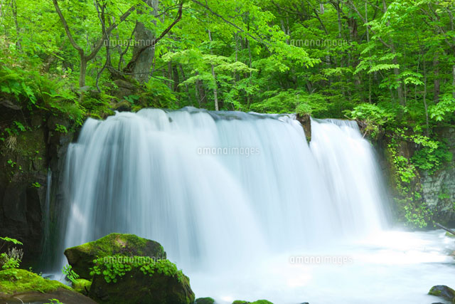 奥入瀬渓流 銚子大滝
(c)NOBUAKI SUMIDA/SEBUN PHOTO