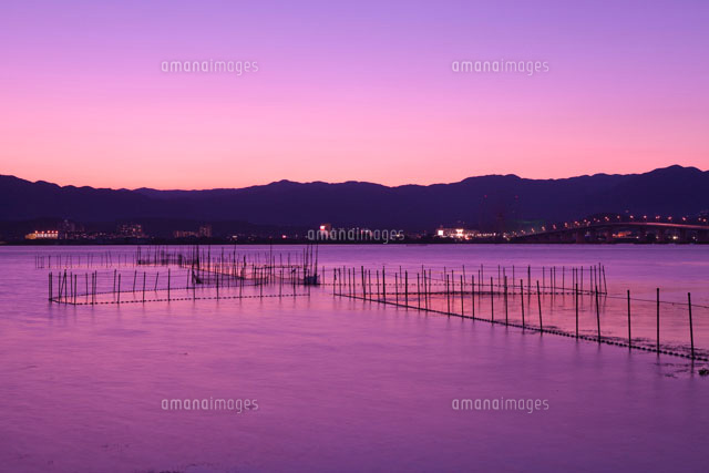 琵琶湖とエリと琵琶湖大橋の夕景
(c)NOBUAKI SUMIDA/SEBUN PHOTO