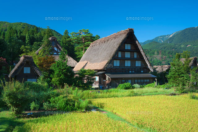秋の白川郷
(c)NOBUAKI SUMIDA/SEBUN PHOTO