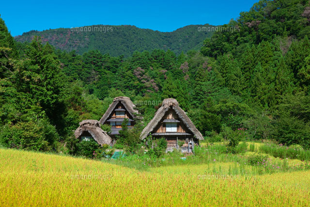 秋の白川郷
(c)NOBUAKI SUMIDA/SEBUN PHOTO