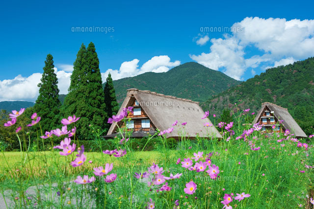 秋の白川郷
(c)NOBUAKI SUMIDA/SEBUN PHOTO