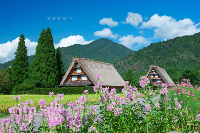秋の白川郷
(c)NOBUAKI SUMIDA/SEBUN PHOTO