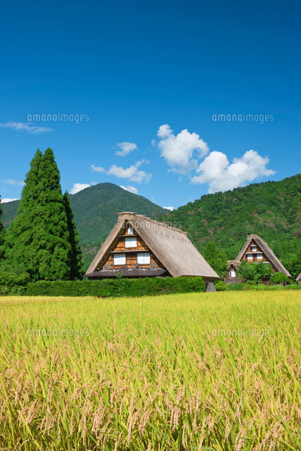 秋の白川郷
(c)NOBUAKI SUMIDA/SEBUN PHOTO