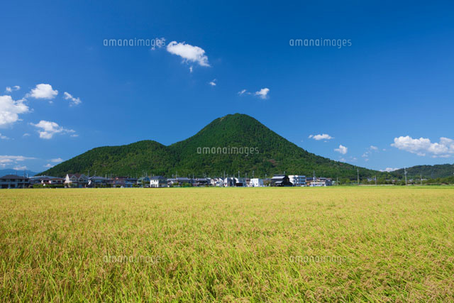米と近江富士
(c)NOBUAKI SUMIDA/SEBUN PHOTO