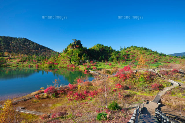 紅葉と弓池
(c)NOBUAKI SUMIDA/SEBUN PHOTO