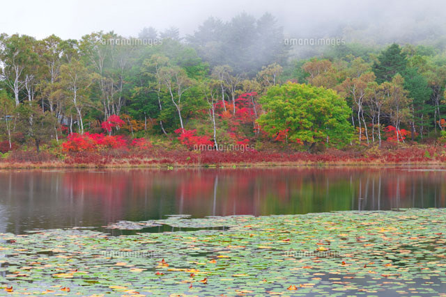 紅葉と一沼
(c)NOBUAKI SUMIDA/SEBUN PHOTO