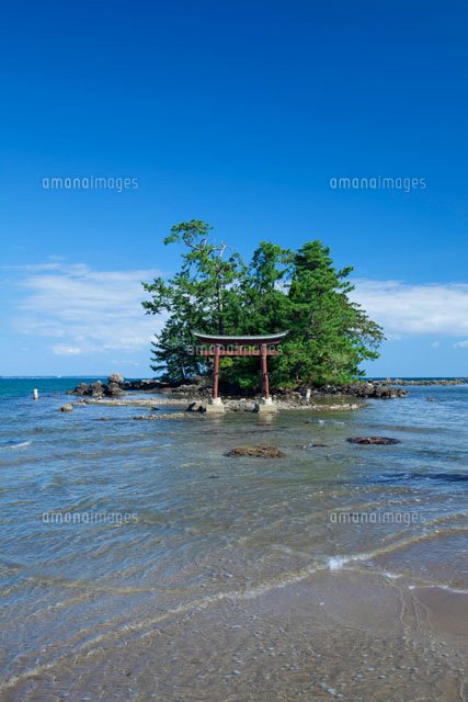 恋路海岸
(c)NOBUAKI SUMIDA/SEBUN PHOTO