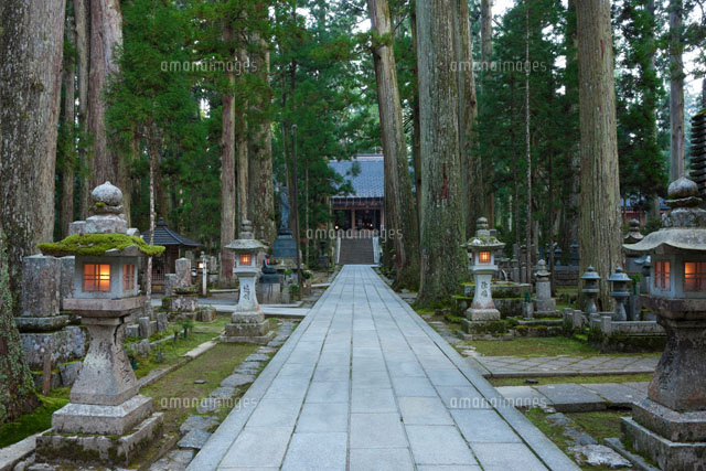 高野山奥の院参道
(c)NOBUAKI SUMIDA/SEBUN PHOTO