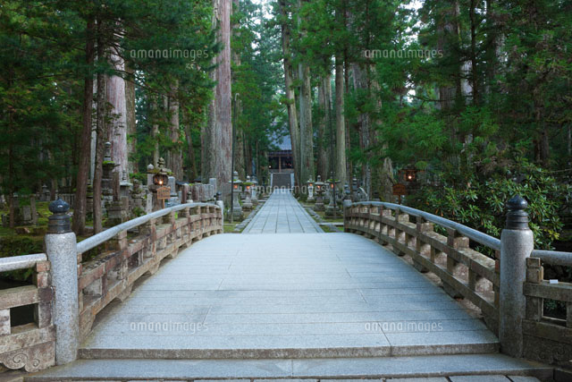 高野山奥の院参道
(c)NOBUAKI SUMIDA/SEBUN PHOTO