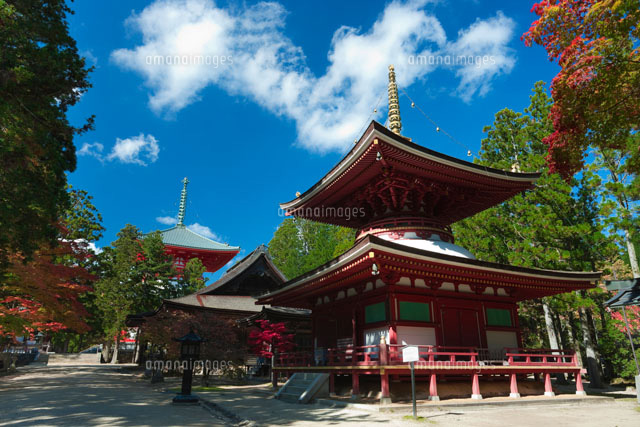 高野山の東塔の紅葉
(c)NOBUAKI SUMIDA/SEBUN PHOTO