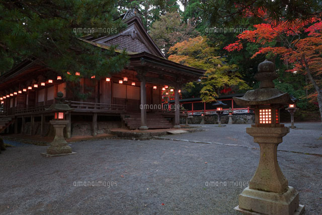高野山の壇上伽藍の夕景
(c)NOBUAKI SUMIDA/SEBUN PHOTO