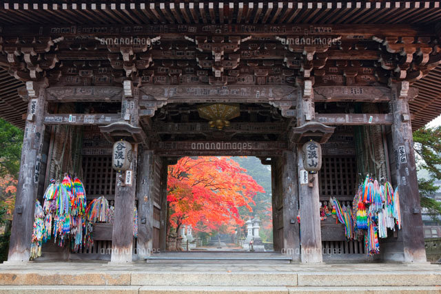秋の谷汲山華厳寺の仁王門
(c)NOBUAKI SUMIDA/SEBUN PHOTO