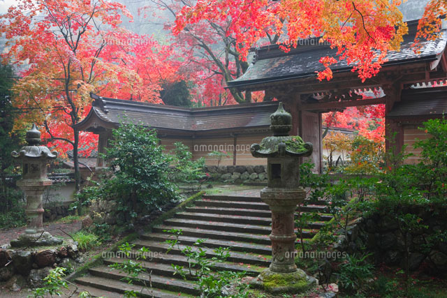秋の谷汲山華厳寺
(c)NOBUAKI SUMIDA/SEBUN PHOTO