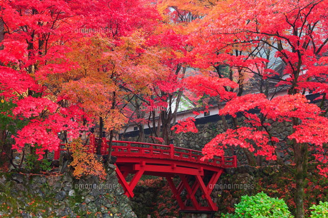 紅葉の両界山横蔵寺
(c)NOBUAKI SUMIDA/SEBUN PHOTO