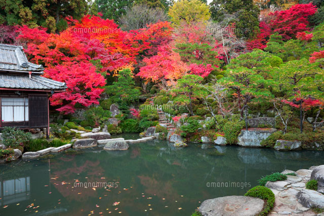 紅葉の百済寺庭園
(c)NOBUAKI SUMIDA/SEBUN PHOTO