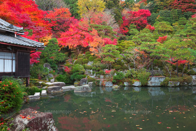 紅葉の百済寺庭園
(c)NOBUAKI SUMIDA/SEBUN PHOTO