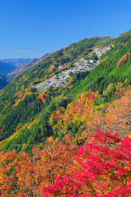 秋の下栗の里
(c)NOBUAKI SUMIDA/SEBUN PHOTO