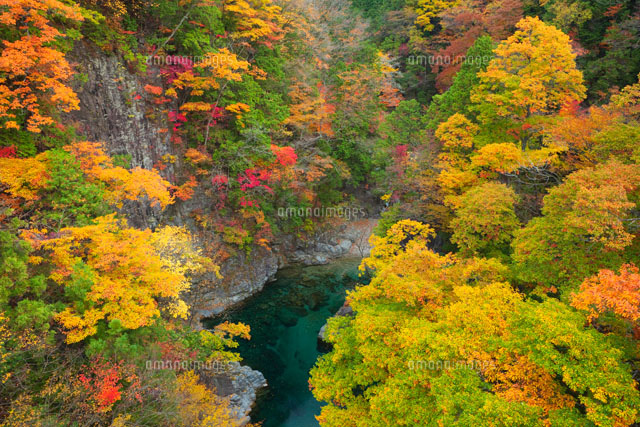 秋の付知峡
(c)NOBUAKI SUMIDA/SEBUN PHOTO