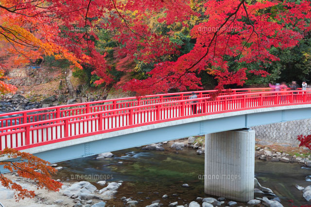紅葉の香嵐渓
(c)NOBUAKI SUMIDA/SEBUN PHOTO