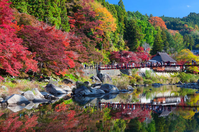 紅葉の香嵐渓
(c)NOBUAKI SUMIDA/SEBUN PHOTO