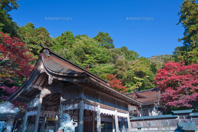 紅葉の大矢田神社の拝殿
(c)NOBUAKI SUMIDA/SEBUN PHOTO