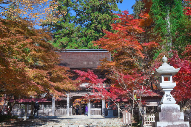 紅葉の大矢田神社の仁王門
(c)NOBUAKI SUMIDA/SEBUN PHOTO