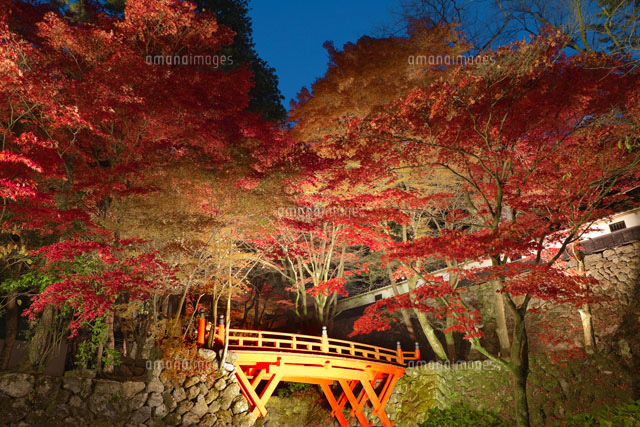 紅葉の両界山横蔵寺のライトアップ
(c)NOBUAKI SUMIDA/SEBUN PHOTO