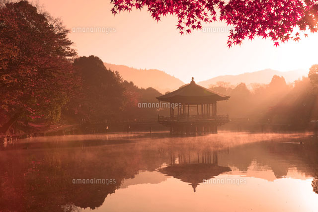 紅葉と浮御堂の朝霧
(c)NOBUAKI SUMIDA/SEBUN PHOTO