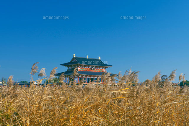 大極殿とヨシ
(c)NOBUAKI SUMIDA/SEBUN PHOTO