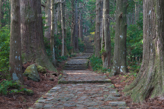 熊野古道の大門坂
(c)NOBUAKI SUMIDA/SEBUN PHOTO
