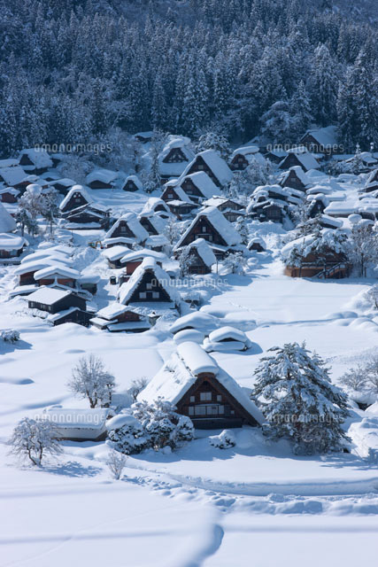 雪の白川郷
(c)NOBUAKI SUMIDA/SEBUN PHOTO