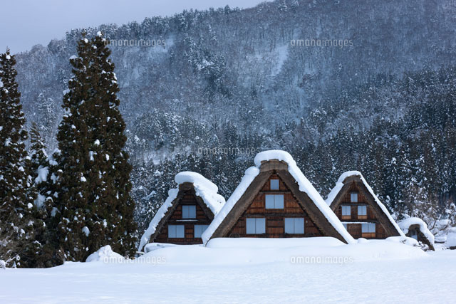 雪の白川郷
(c)NOBUAKI SUMIDA/SEBUN PHOTO
