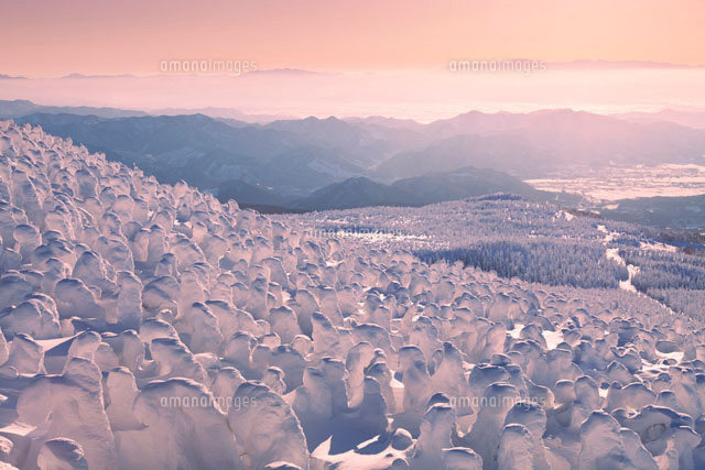 樹氷と夕景
(c)NOBUAKI SUMIDA/SEBUN PHOTO