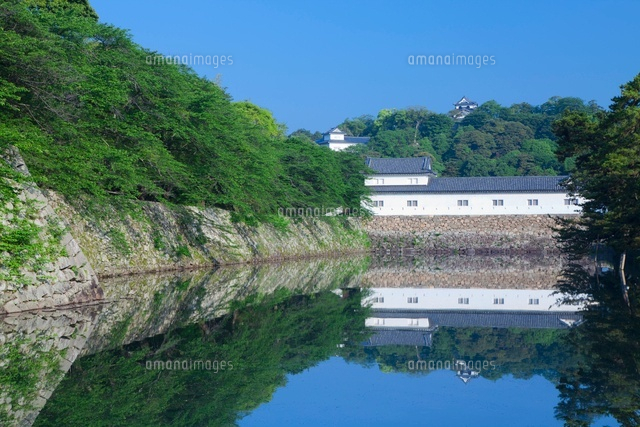 新緑の彦根城と堀
(c)NOBUAKI SUMIDA/SEBUN PHOTO