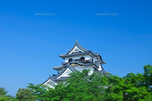 新緑の彦根城の天守閣
(c)NOBUAKI SUMIDA/SEBUN PHOTO