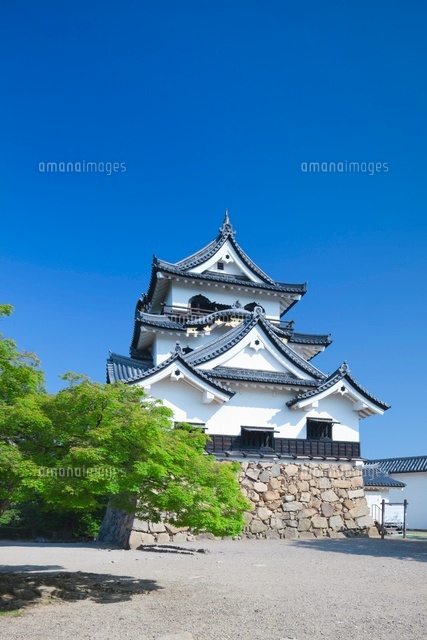 新緑の彦根城の天守閣
(c)NOBUAKI SUMIDA/SEBUN PHOTO