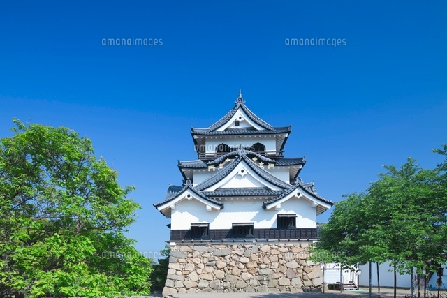 新緑の彦根城の天守閣
(c)NOBUAKI SUMIDA/SEBUN PHOTO