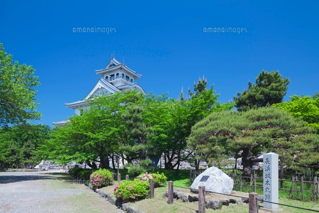 新緑の長浜城とツツジ
(c)NOBUAKI SUMIDA/SEBUN PHOTO