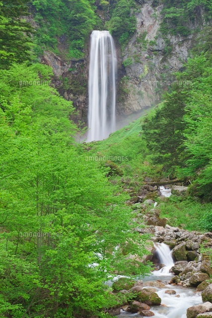 新緑の平湯大滝
(c)NOBUAKI SUMIDA/SEBUN PHOTO