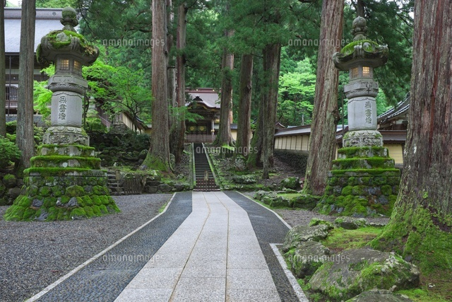 新緑の永平寺の唐門
(c)NOBUAKI SUMIDA/SEBUN PHOTO
