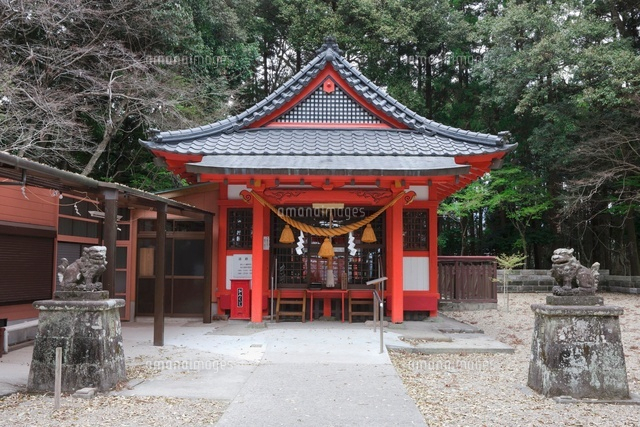 郡山八幡神社
(c)NOBUAKI SUMIDA/SEBUN PHOTO