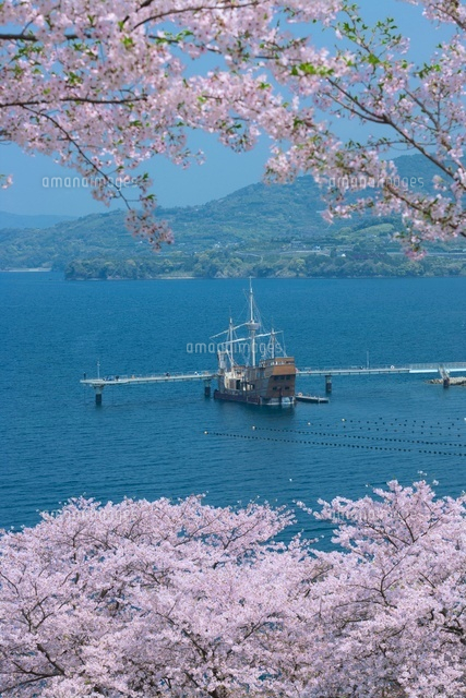 桜と湯の児温泉街
(c)NOBUAKI SUMIDA/SEBUN PHOTO
